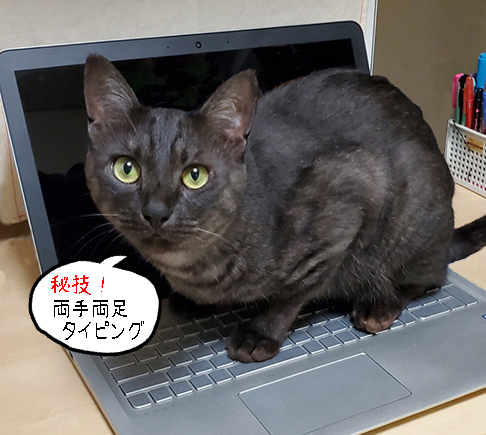 突然の在宅勤務!? 秘技!両手両足タイピング